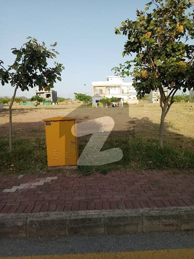 Plot