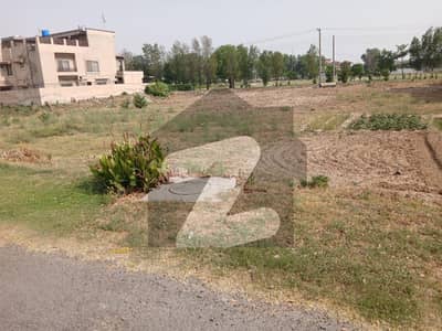 Plot
